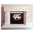 ventless electric fireplace.